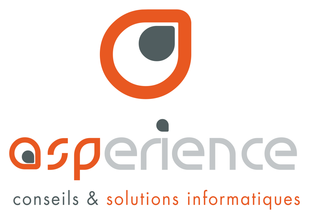 ASPerience Conseils et solutions informatique Logo
